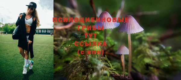 бошки Дмитриев