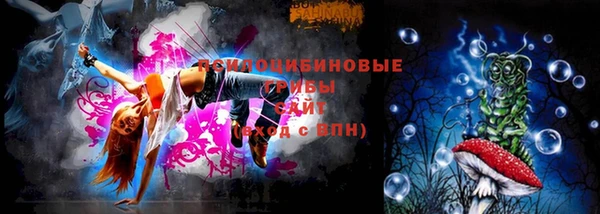 мдпв Каменка