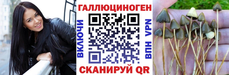 Галлюциногенные грибы мицелий  маркетплейс наркотические препараты  Красноперекопск 